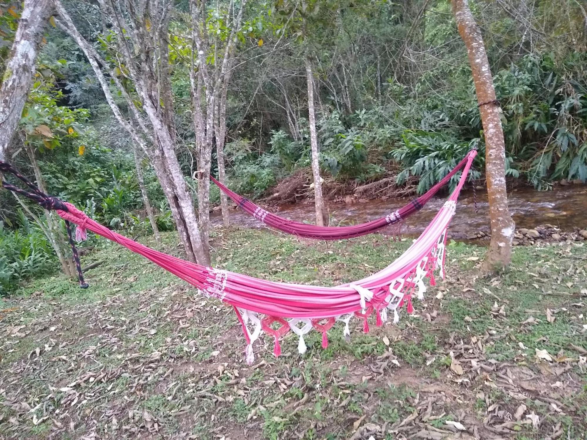 Villa Das Palmeiras Chales & Camping São Bento do Sapucaí Dış mekan fotoğraf