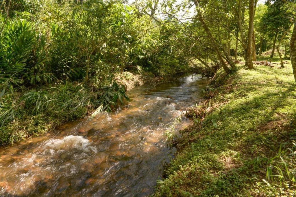 Villa Das Palmeiras Chales & Camping São Bento do Sapucaí Dış mekan fotoğraf